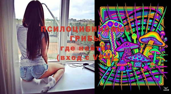 молекула духа Аркадак