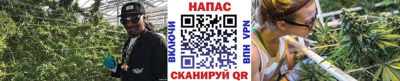 дарнет шоп  blacksprut как зайти  Конопля SATIVA & INDICA  Сорочинск 